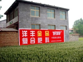 濮阳如何让墙体广告展现最大化效果